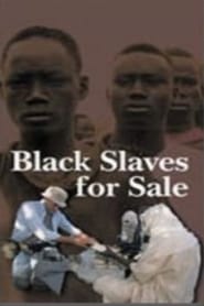 Black Slaves for Sale' Poster