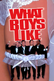 What Boys Like' Poster