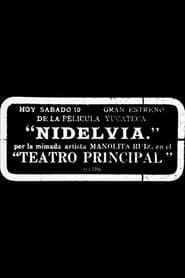 Nidelvia' Poster