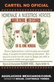 Aguiluchos mexicanos' Poster