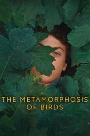 The Metamorphosis of Birds' Poster