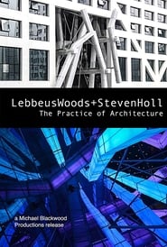 Lebbeus Woods  Steven Holl The Practice of Architecture' Poster