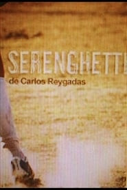 Serenghetti' Poster