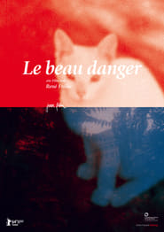 Le Beau danger' Poster