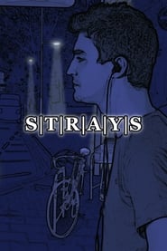 STRAYS' Poster