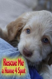 Rescue Me A Home 4 Spot' Poster