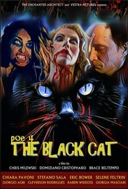 POE 4 The Black Cat' Poster