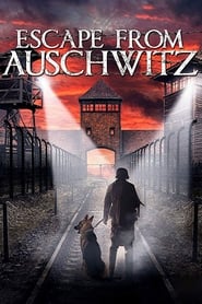 The Escape from Auschwitz' Poster