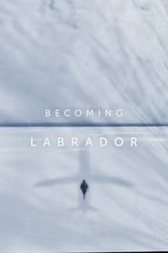 Becoming Labrador' Poster