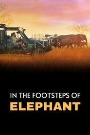 In the Footsteps of Elephant Poster