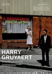 Harry Gruyaert Photographer' Poster
