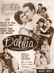 Dahlia' Poster