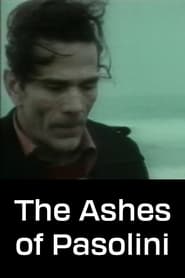 The Ashes of Pasolini' Poster