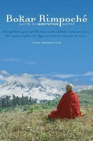 Bokar Rimpoche Meditation Master' Poster