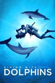Diving with Dolphins' Poster