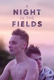 A Night in the Fields' Poster