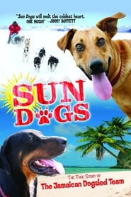 Sun Dogs' Poster