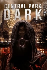 Central Park Dark' Poster