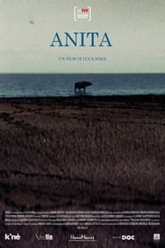 Anita' Poster