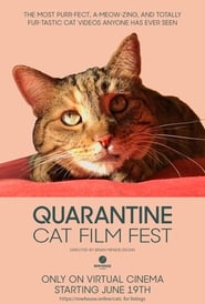 Quarantine Cat Film Festival' Poster