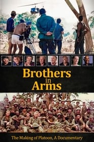 Platoon Brothers in Arms Poster