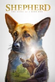 Shepherd The Hero Dog' Poster