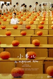 An Insignificant Affair' Poster