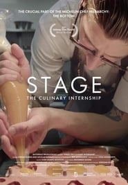 Stage The Culinary Internship' Poster