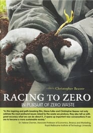 Racing To Zero' Poster