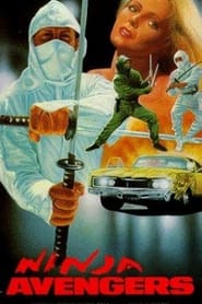 Ninja Avengers' Poster