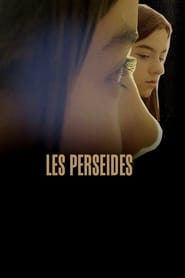 The Perseids' Poster
