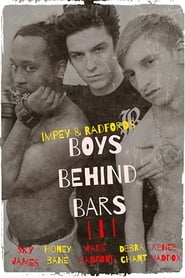 Boys Behind Bars 3' Poster