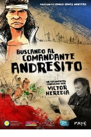 Buscando al comandante Andresito' Poster