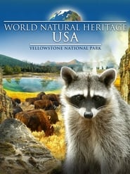 World Natural Heritage USA Yellowstone National Park' Poster