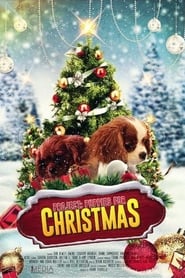 Project Puppies for Christmas' Poster