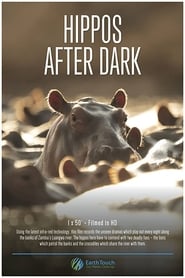 Hippos after Dark' Poster