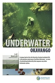 Underwater Okavango' Poster