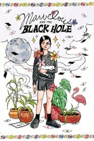 Marvelous and the Black Hole' Poster