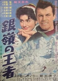 Storm on the Silvery Peaks' Poster
