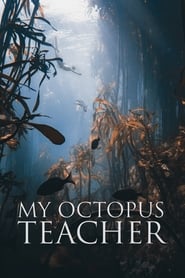 My Octopus Teacher' Poster