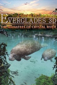 Adventure Everglades 3D  The Manatees of Crystal River' Poster