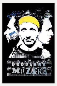 The Mozart Brothers' Poster