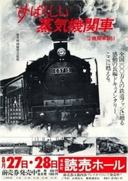 The Wonderful World of Steam Locomotive' Poster