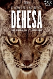 Dehesa The Forest of the Iberian Lynx' Poster