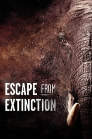 Streaming sources forEscape from Extinction