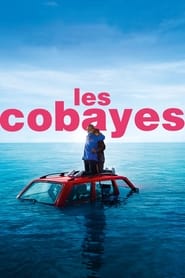 Les Cobayes' Poster