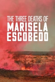 The Three Deaths of Marisela Escobedo' Poster
