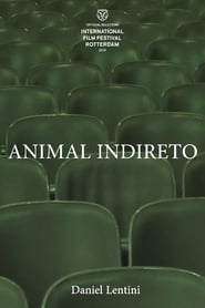 Animal Indireto' Poster