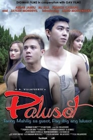 Palusot' Poster