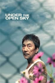 Under the Open Sky' Poster